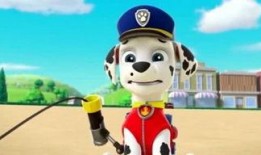 娱乐吃瓜君汪汪,揭秘娱乐圈那些不为人知的幕后故事